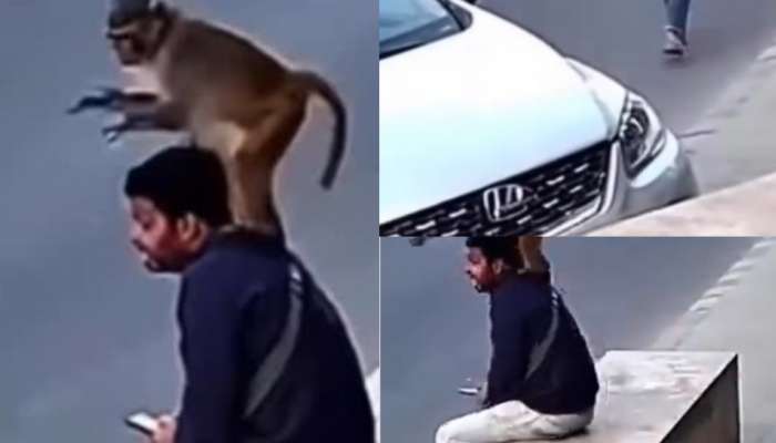 Monkey Video: అద్భుతం.. రెప్పపాటులో వ్యక్తిని  రోడ్డు ప్రమాదం నుంచి కాపాడిన వానరం.. ఓళ్లు గగుర్పొడిచే వీడియో..