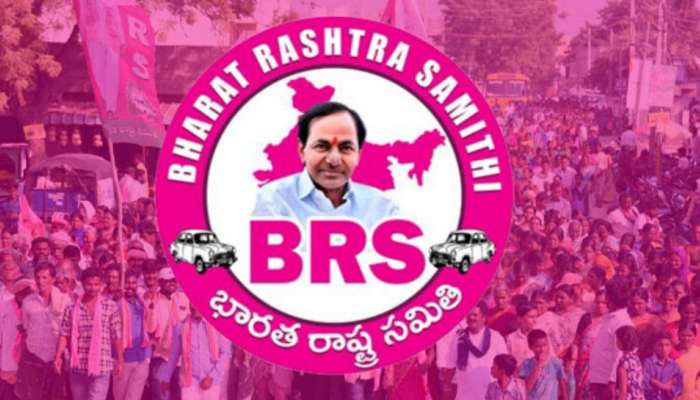 BRS Party: గులాబీ పార్టీలో గుబులు.. సంస్థాగత నిర్మాణంపై మళ్లీ చేతులెత్తేసిన బీఆర్‌ఎస్‌
