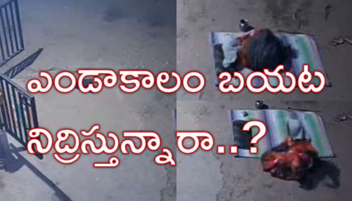 Snake Frog Dance: అవ్వ నిద్రిస్తుండగా.. గేటు బయట కప్ప, పాము సయ్యాట