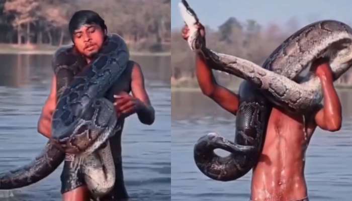 Python Video: నువ్వు తోపు భయ్యా.. భారీ కొండ చిలువకే సుస్సు పోయించిన యువకుడు.. వీడియో వైరల్..