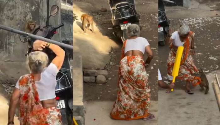 Video Viral: నన్నే రాయిచ్చి కొడ్తావా..?.. వృద్ధురాలికి చుక్కలు చూపెట్టిన వానరం.. వీడియో వైరల్..