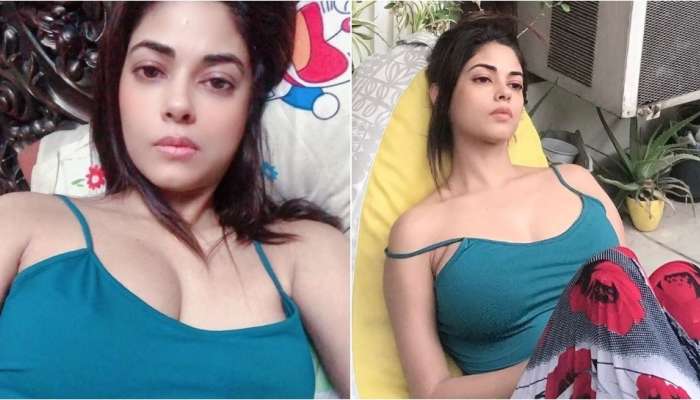 నటి మీరా చోప్రా హాట్ ఫొటోలు వైరల్