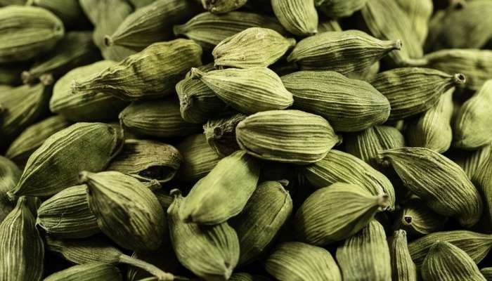 Cardamom: చర్మం, జుట్టుకు యాలకులు చేసే అద్భుతం ఇదే.. నమ్మలేని ప్రయోజనాలు..