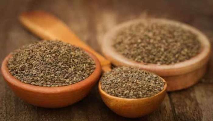 Ajwain benefits: చిటికెడు వాము నమలడం వల్ల కలిగే ప్రయోజనాలు తెలిస్తే బిత్తర పోతారు..