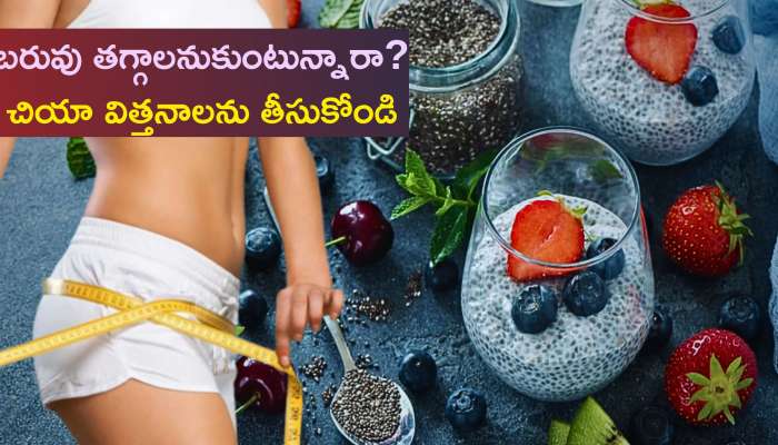 Chia Seeds For Weight Loss: ఈ గింజలతో బరువు తగ్గడం సులభం..వేగంగా వెయిట్‌ లాస్‌ అవ్వాలనుకునేవారు ట్రై చేయండి