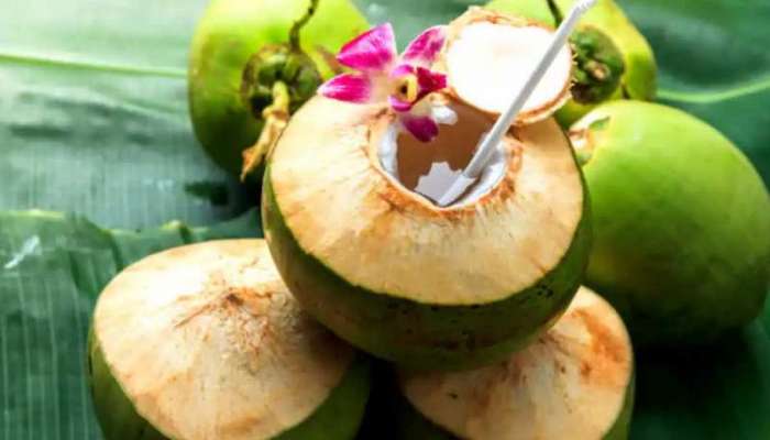 Coconut Water Precautions: కొబ్బరి నీళ్లతో నష్టాలు కూడా ఉన్నాయని తెలుసా, ఎవరెవరు తాగకూడదు