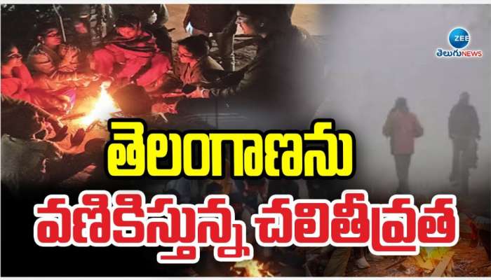 Telangana Cold Wave: తెలంగాణను వణికిస్తున్న చలి తీవ్రత..