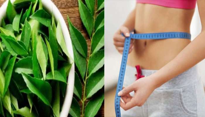 Belly Fat: కరివేపాకుతో ఇలా జ్యూస్‌ తాగితే బెల్లీఫ్యాట్‌ వారంలో ఇట్టే కరిగిపోతుంది..