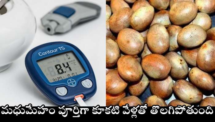 Diabetes Control: ఈ గింజలు తింటే.. మధుమేహం కూకటి వేళ్లతో తొలగిపోతుంది..