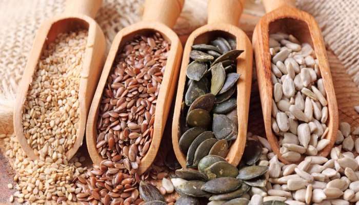 Diabetes Control: ఈ మూడు విత్తనాలు తింటే చాలు.. ఇక షుగర్ కుదుళ్ల నుంచి మటుమాయం..