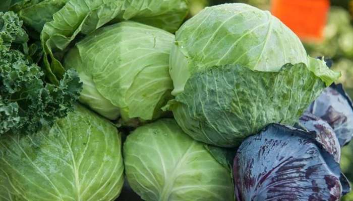 5 Best Vegetables: ఒంట్లో గ్యాస్, ఎసిడిటీ పెరిగిపోతున్నాయా, ఈ 5 కూరగాయలు ట్రై చేయండి