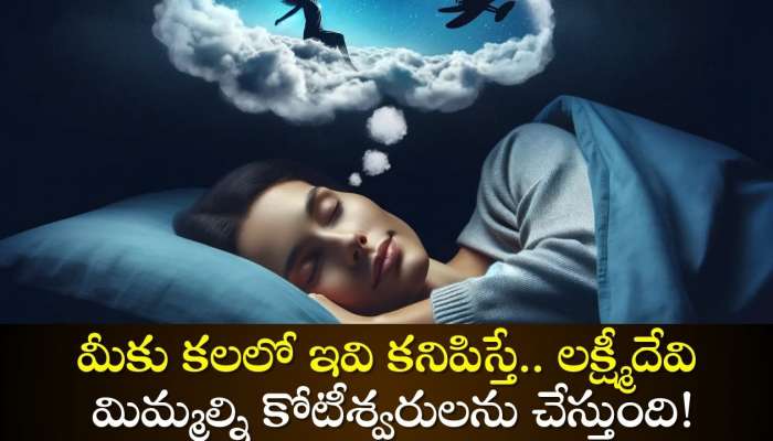 5 Dreams Make Billionaire: మీకు కలలో ఇవి కనిపిస్తే.. లక్ష్మీదేవి మిమ్మల్ని కోటీశ్వరులను చేస్తుంది!