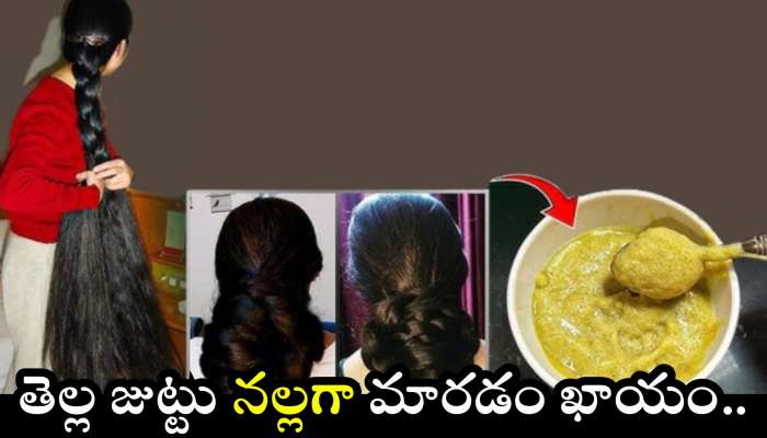 White Hair: ఈ గడ్డి మొక్కతో ఇలా చేస్తే.. తెల్ల జుట్టు కొన్ని వారాల్లో నల్లగా మారడం ఖాయం..