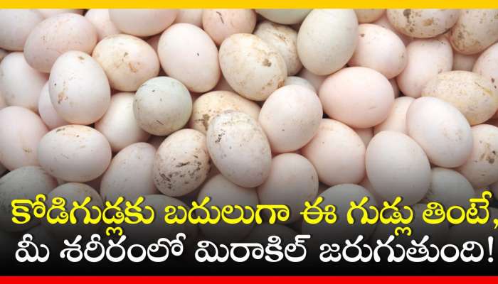Eggs: కోడిగుడ్లకు బదులుగా ఈ గుడ్లు తింటే, మీ శరీరంలో మిరాకిల్ జరుగుతుంది!