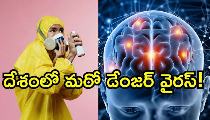 Encephalitis Virus: దెబ్బ మీద దెబ్బ.. దేశంలో మరో డేంజర్ వైరస్.. ఏకంగా మెదడుకే జ్వరం..