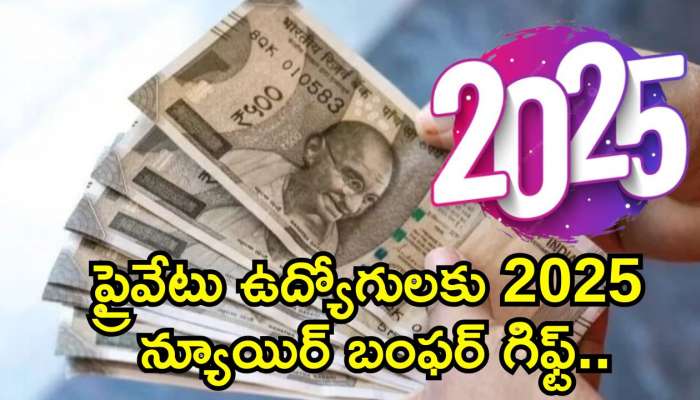 EPFO New Year Gift: ప్రైవేటు ఉద్యోగులకు 2025 న్యూ ఇయర్ బంఫర్‌ గిఫ్ట్‌.. EPFO నుంచి ఏకంగా రూ.9,000 పెన్షన్!