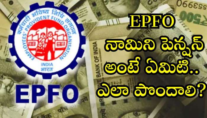  EPFO Nominee Pension: EPFO నామిని పెన్షన్ అంటే ఏమిటి.. ఎలా పొందాలి? 