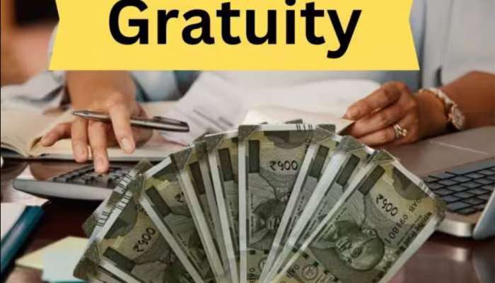 Gratuity Calculator: బడ్జెట్‌లో గ్రాట్యుటీపై కేంద్రం అదిరిపోయే ప్రకటన..! గ్రీన్‌సిగ్నల్ వస్తే ఉద్యోగులకు పండగే..