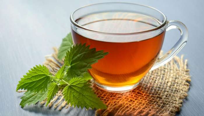 Green Tea: ఉదయం ఖాళీ కడుపుతో గ్రీన్‌ టీ తాగుతున్నారా? నిపుణుల హెచ్చరిక..