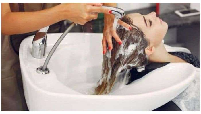 Natural shampoo: ఇంట్లోఈ  3 వస్తువులు ఉంటే హెయిర్ షాంపూ అవసరమే ఉండదు..