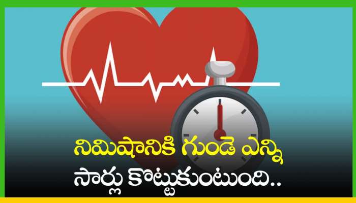 Heart Beats: నిమిషానికి గుండె ఎన్ని సార్లు కొట్టుకుంటుంది.. ఎలా కొలవాలి?