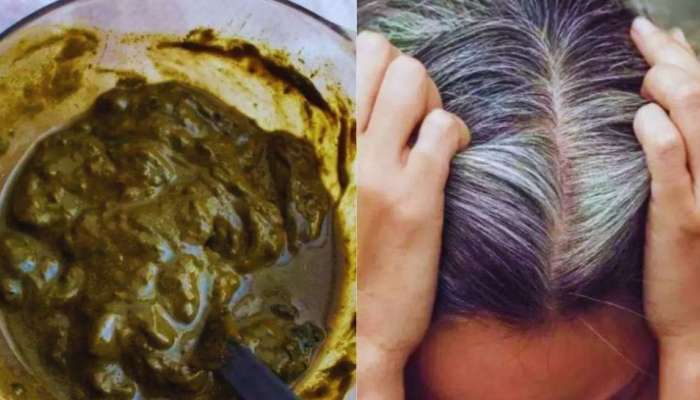White Hair: ఈ రసాన్ని మెహందీతో కలిపి మీ తెల్ల జుట్టుకు రాస్తే.. శాశ్వతంగా నల్లగా మారి మోకాళ్ల వరకు పెరగడం ఖాయం..!