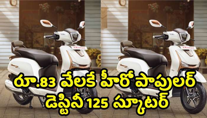 Hero Destini 125 Scooter: రూ.83 వేలకే పవర్‌ ఫుల్‌ హీరో డెస్టినీ 125 స్కూటర్‌.. ఇందులో ఫీచర్స్‌ వేరే లెవల్‌..