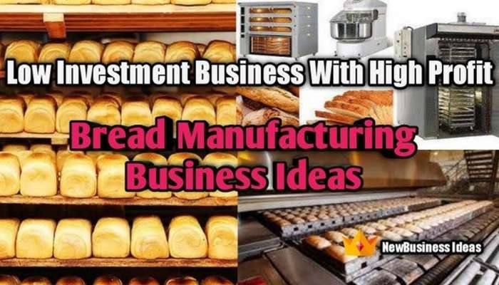 Trending Small Business Idea: ఏడాదిలో లక్షాధికారుల్ని చేసే బిజినెస్‌ ఐడియా.. రోజుకి రూ. 50 వేల లాభం.. ఇంటి నుంచే సంపాదించండి ఇలా.. 