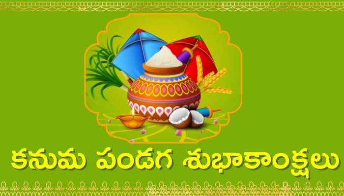 Happy Kanuma Wishes 2024: కనుమ పండగ ప్రత్యేక శుభాకాంక్షలు, స్పెషల్ కోట్స్, గ్రీటింగ్స్, సోషల్ మీడియా మెసేజెస్..