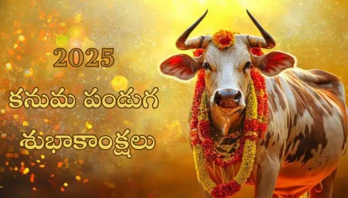 Happy Kanuma Wishes 2025:  మీ కుటుంబ సభ్యులకు, స్నేహితులకు తెలుగులో ఇలా.. 2025 కనుమ శుభాకాంక్షలు తెలపండి!