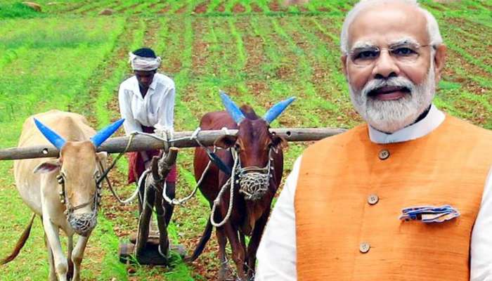 PM Kisan: పీఎం కిసాన్‌ 21వ నిధులకు ఎదురు చూస్తున్నారా? ముందుగా ఈ 5 పనులు పూర్తి చేయండి..