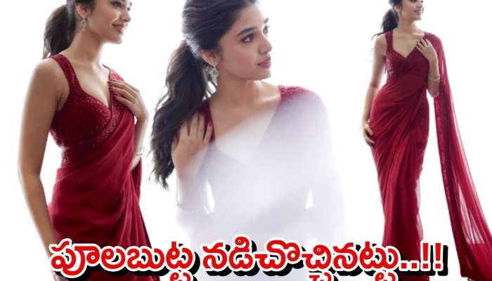 Krithi Shetty: తెరచాటు నడుము దాచేస్తూ..సైజ్ జీరోతో ఆడిస్తున్న అమ్మాడి!
