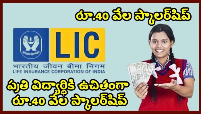 New Year 2025 Good News: LIC నుంచి న్యూ ఇయర్ గుడ్ న్యూస్.. ప్రతి విద్యార్థికి ఉచితంగా రూ.40 వేల స్కాలర్‌షిప్‌.. ఇప్పుడే అప్లై చేసుకోండి..