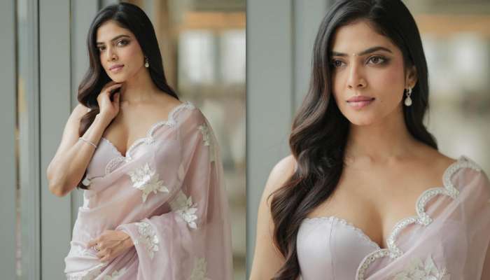 Malavika Mohanan: వైట్ డ్రెస్ లో ఏంజెల్ లా మెరిసిపోతున్న మలయాళీ అందం మాళవిక మోహనన్.. లేటెస్ట్ పిక్స్ వైరల్..