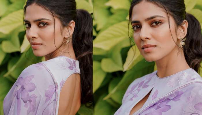 Malavika Mohanan Pics: బాపుబొమ్మలా మలయాళీ ముద్దుగుమ్మ.. మాళవిక మోహనన్ శారీ పిక్స్ వైరల్