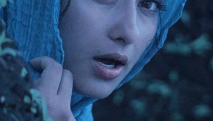 Bollywood Star Heroine: 12 మందితో ఎఫైర్.. పెళ్లైన 2 యేళ్లకే విడాకులు.. వందల కోట్ల ఆస్తులున్న నాగ్ హీరోయిన్..!