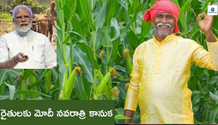 PM Kisan yojana: కోట్లాది మంది రైతులకు మోదీ నవరాత్రి కానుక.. ఖాతాల్లో డబ్బులు జమా మీకు వచ్చాయా? వెంటనే చెక్‌ చేసుకోండి..