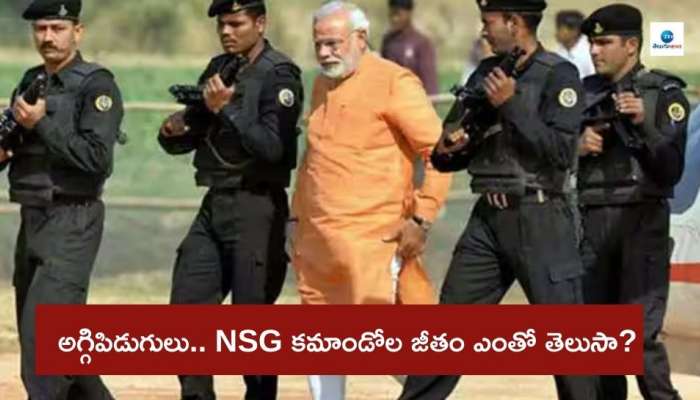 NSG Commandos: చంద్రబాబు సహా 9 మంది నేతల భద్రత నుంచి వైదొలిగిన ఎన్‌ఎస్‌జీ కమాండోల జీతం ఎంతో తెలుసా? సీఆర్‌పీఎఫ్‌ శాలరీతో పోలిస్తే...