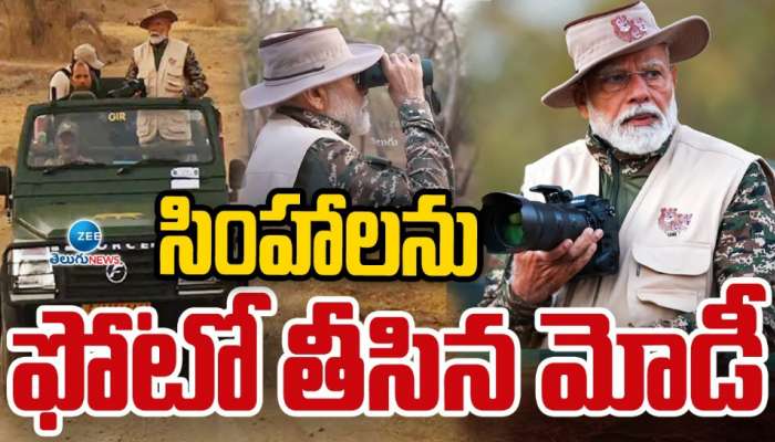 Modi Wild Photography: సింహాలను ఫోటోలు తీసిన ప్రధాని మోడీ.. 