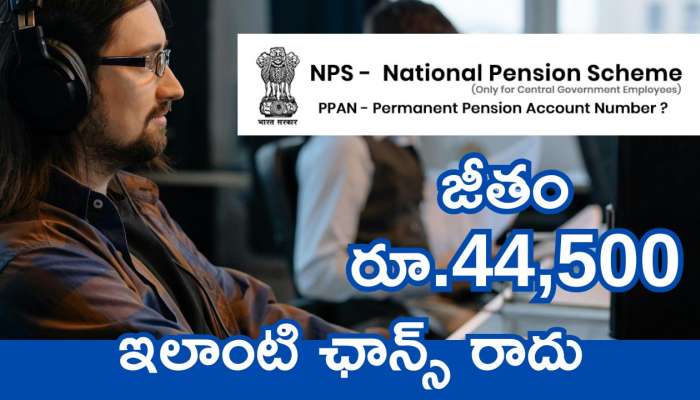 NPS Job Recruitment: కేంద్ర ప్రభుత్వ నుంచి ఉద్యోగ నోటిఫికేషన్‌.. రూ.44 వేల జీతంతో బెస్ట్‌ జాబ్స్‌.. ఇలాంటి ఛాన్స్‌ రాదు..