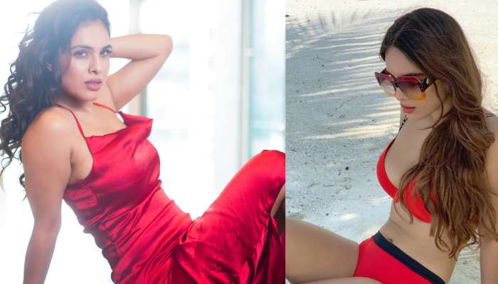 Neha Malik Bikini Pics: బికినీలో నేహా మాలిక్.. ఎద అందాలు ఫోకస్ చేస్తూ అరాచకం!