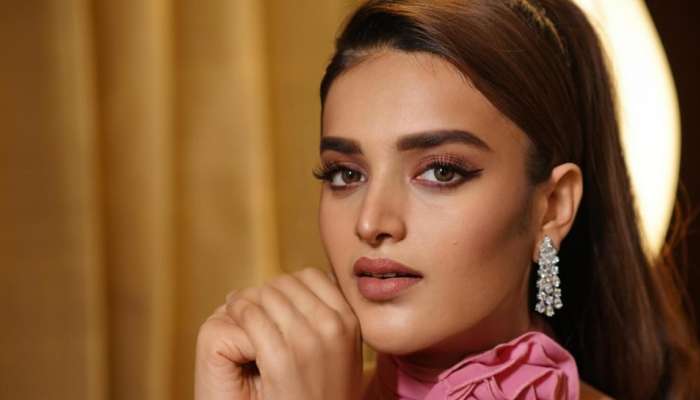 Nidhhi Agerwal: పవన్ కల్యాణ్ హీరోయిన్‌కు &#039;చంపేస్తాం&#039; అంటూ వేధింపులు.. సైబర్ క్రైమ్‌లో ఫిర్యాదు