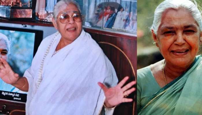 Nirmalamma: నిర్మలమ్మ మనవడు తెలుగులో సూపర్ హిట్ హీరో .. ఇంతకీ ఎవరంటే..?