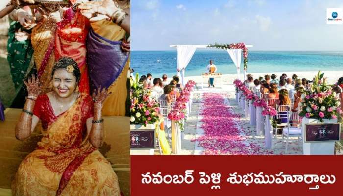 Wedding Bells: దీపావళి తర్వాత లగ్గాలు షురూ.. రూ.6 లక్షల కోట్లు, 48 లక్షల పెళ్లిళ్లు..! శుభ ఘడియలు ఇవే..