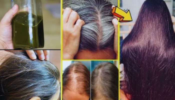 White Hair: ఈ నూనెతో మసాజ్ చేయడం వల్ల మీ తెల్ల జుట్టు పూర్తిగా నల్లగా మారుతుంది..