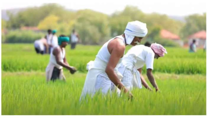 PM kisan Yojana: పీఎం కిసాన్‌ రూ.2000 పడలేదా? అయితే వెంటనే ఈ చిన్న పనిచేయండి...