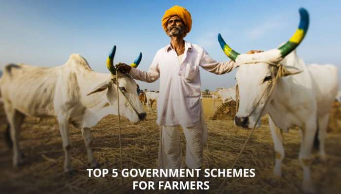PM Kisan: పీఎం కిసాన్‌తో పాటు మరో నాలుగు..! ఈ టాప్ 5 పథకాల ప్రయోజనాలను తెలుసుకోండి..!! 