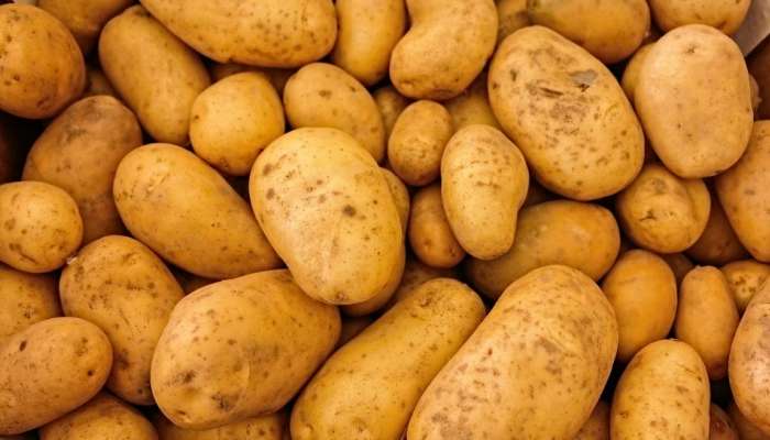 Fake Potatoes: తస్మాత్‌ జాగ్రత్త.. మార్కెట్లో నకిలీ బంగాళదుంపలు.. ఇలా గుర్తించకపోతే రోగాల పాలు..