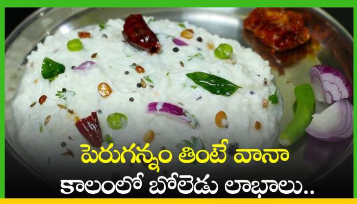 Perugannam Benefits: పెరుగన్నం తింటే వానా కాలంలో బోలెడు లాభాలు..