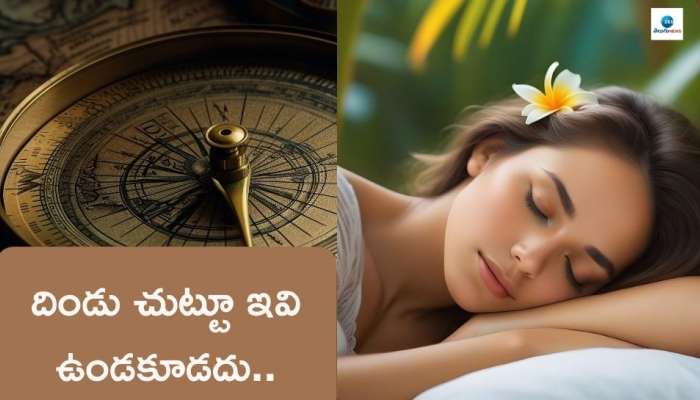 Sleep Vastu Tips: పడుకునేటప్పుడు దిండు చుట్టూ ఖాళీగా ఎందుకు ఉంచాలి? తప్పక తెలుసుకోండి..